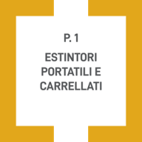 p1